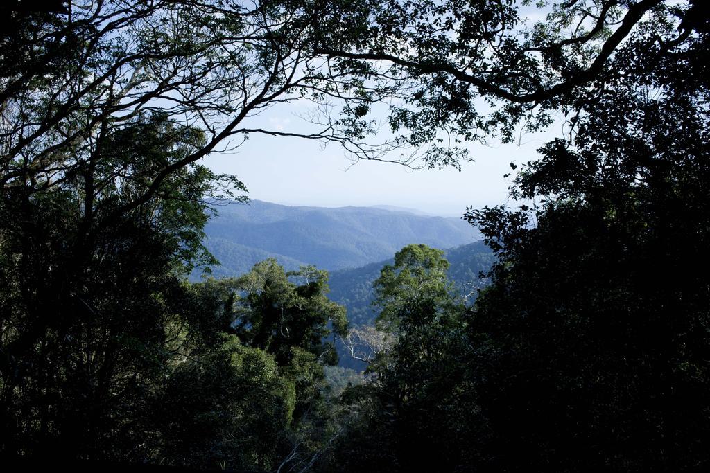 Willa Mt Glorious Getaways Mount Glorious Zewnętrze zdjęcie